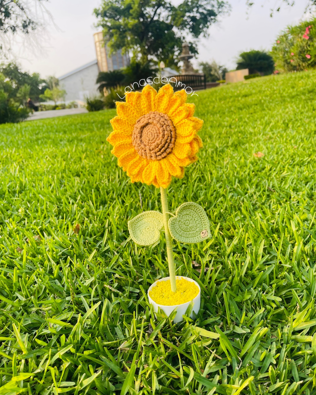 Girasol “Sol de Amor”