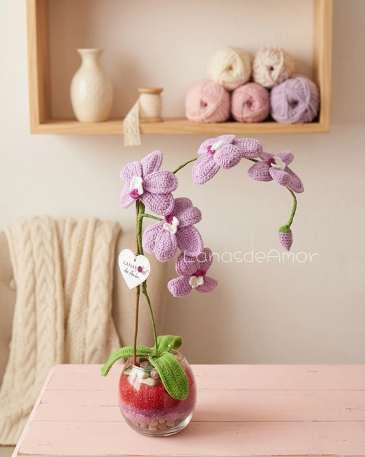 Orquídeas Premium