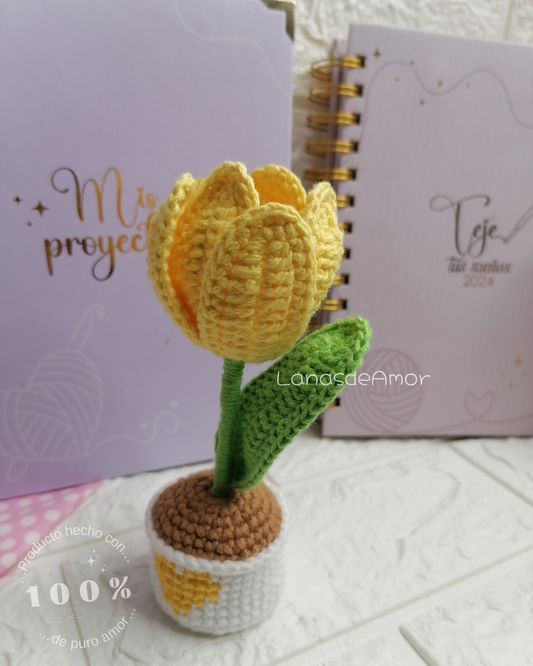 Tulipán Eterno "Corazón de Amor"