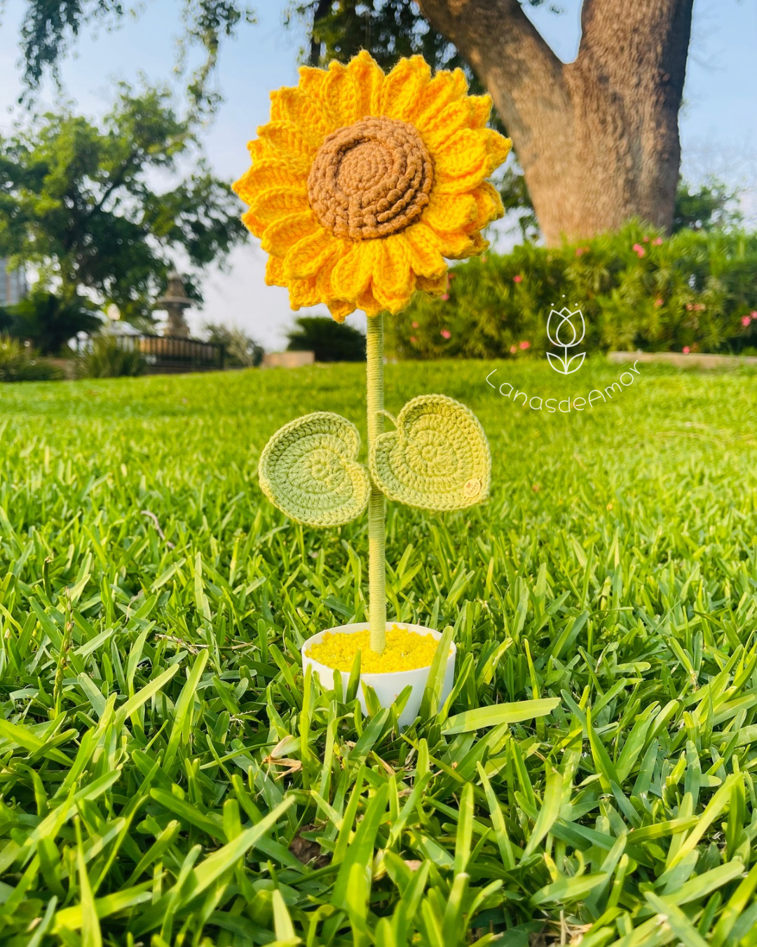 Girasol “Sol de Amor”