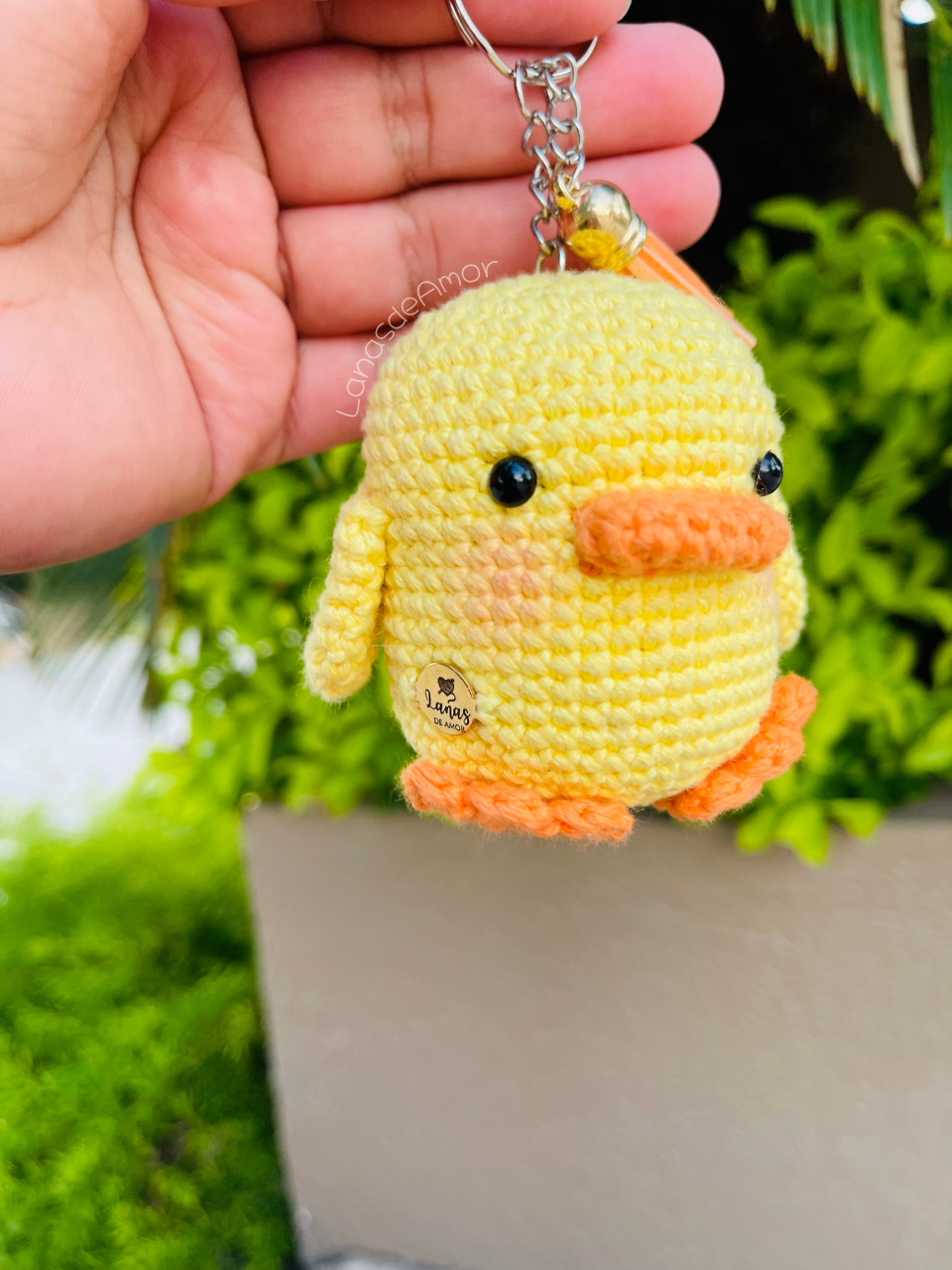 Pollito "Pio"