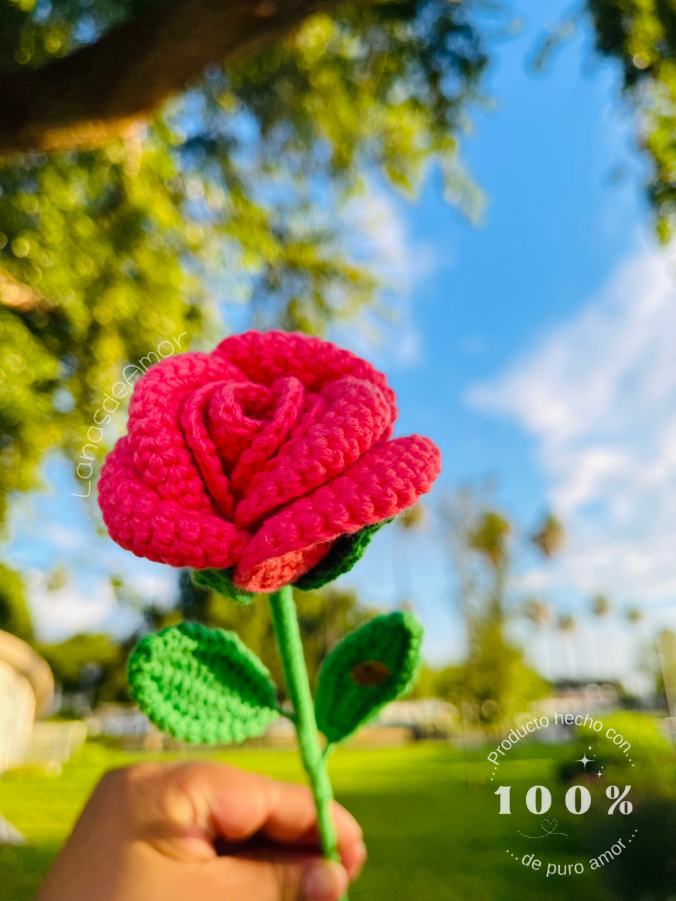 Flores Eternas Individuales