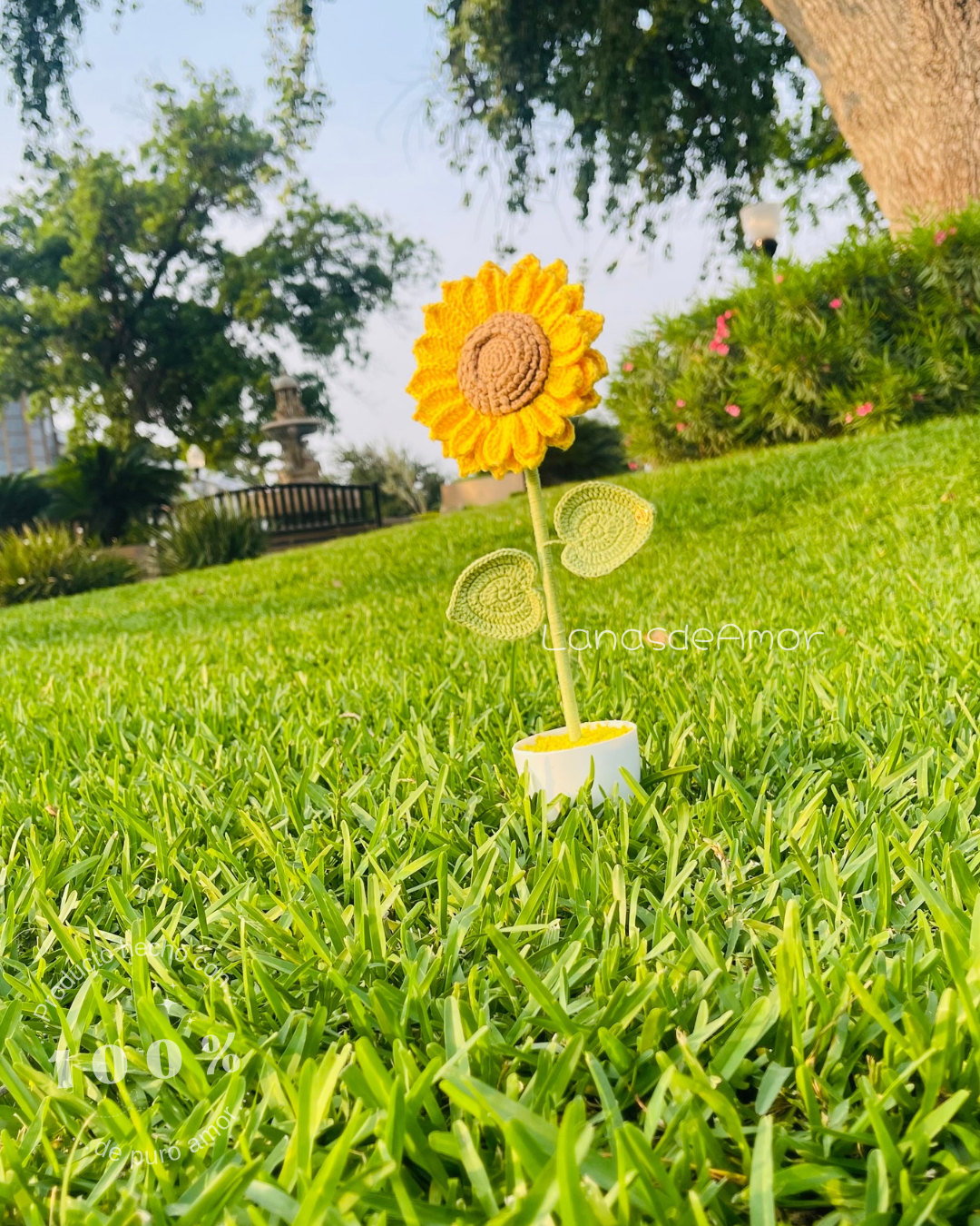Girasol “Sol de Amor”