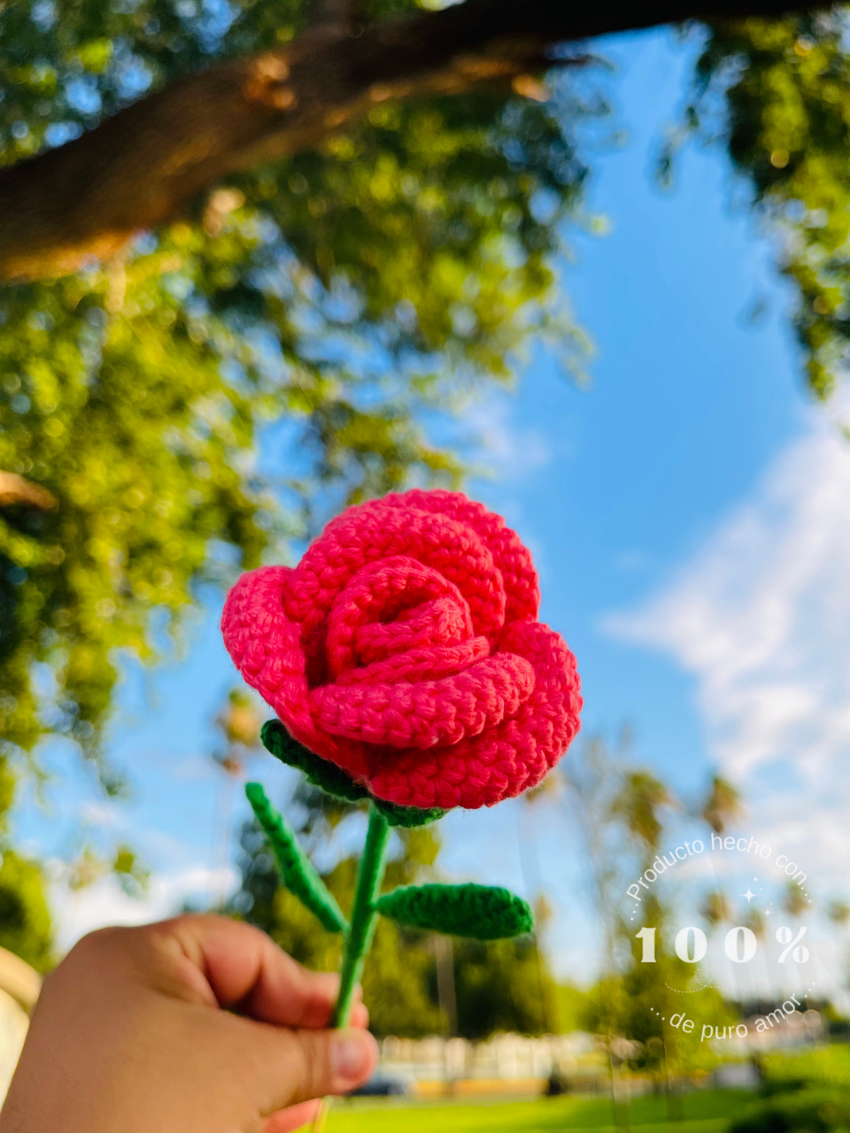 Flores Eternas Individuales
