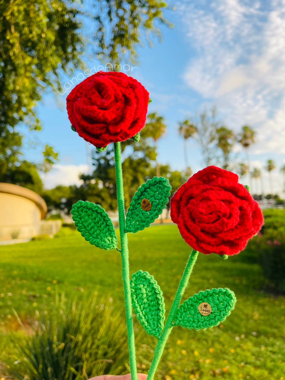 Flores Eternas Individuales