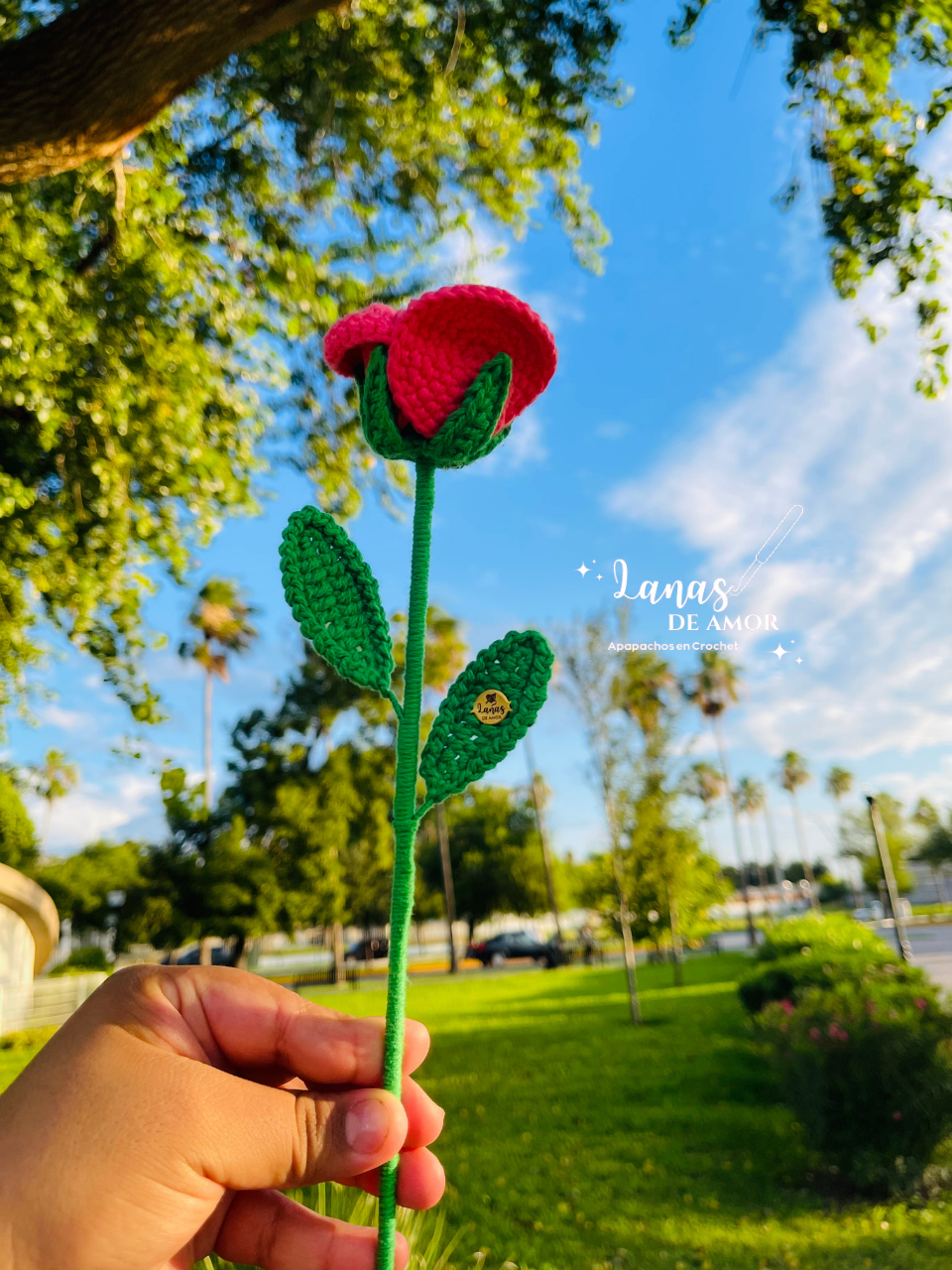Flores Eternas Individuales
