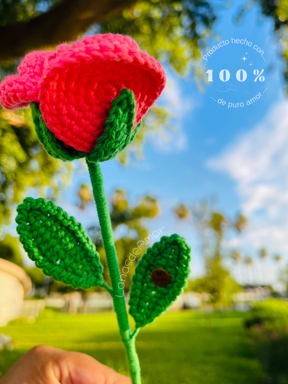 Flores Eternas Individuales