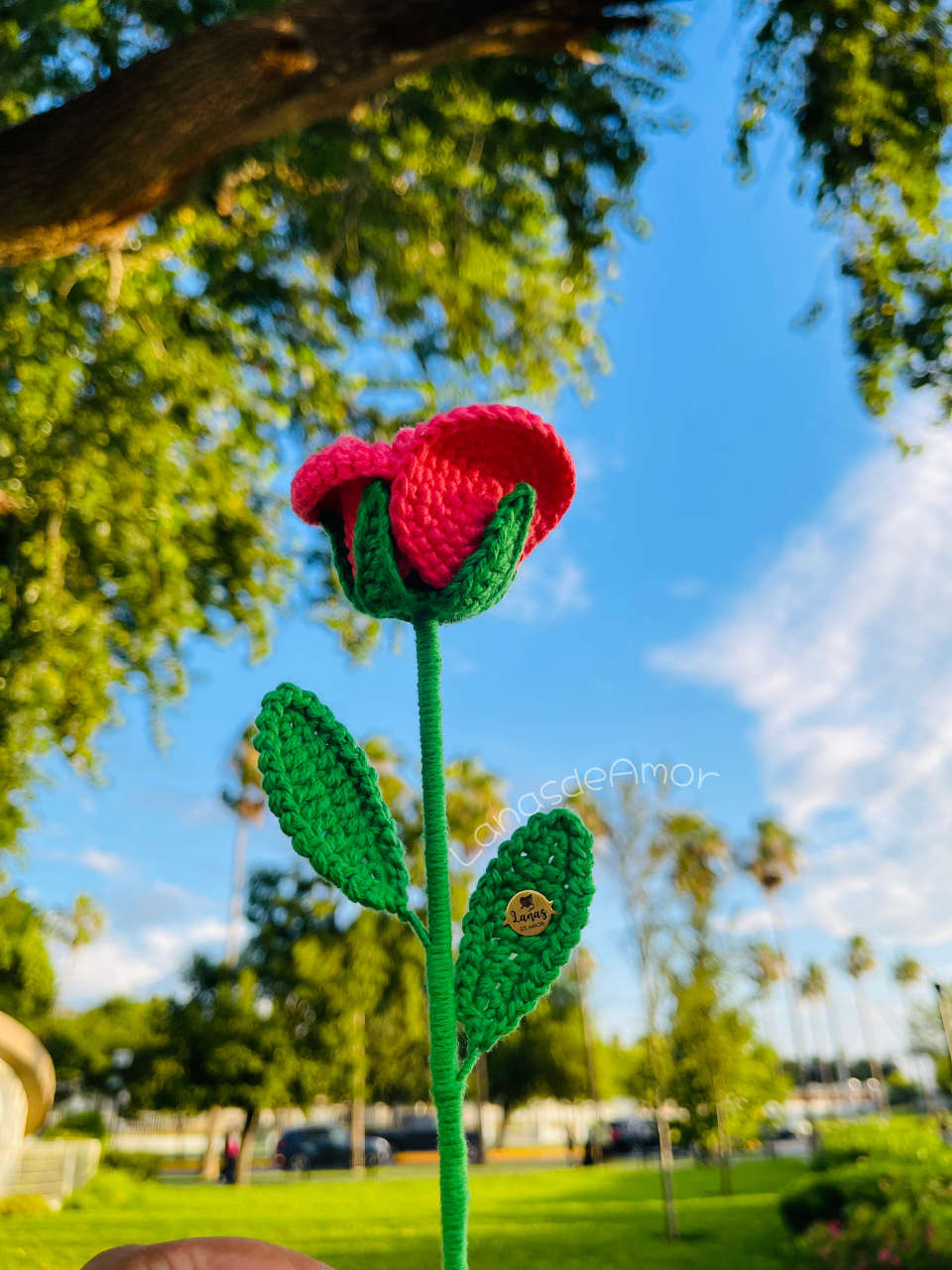 Flores Eternas Individuales