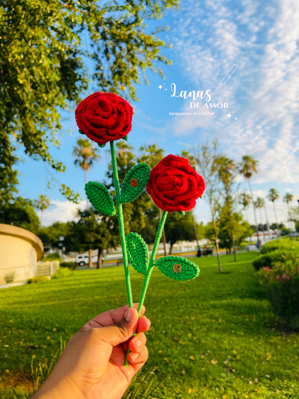 Flores Eternas Individuales