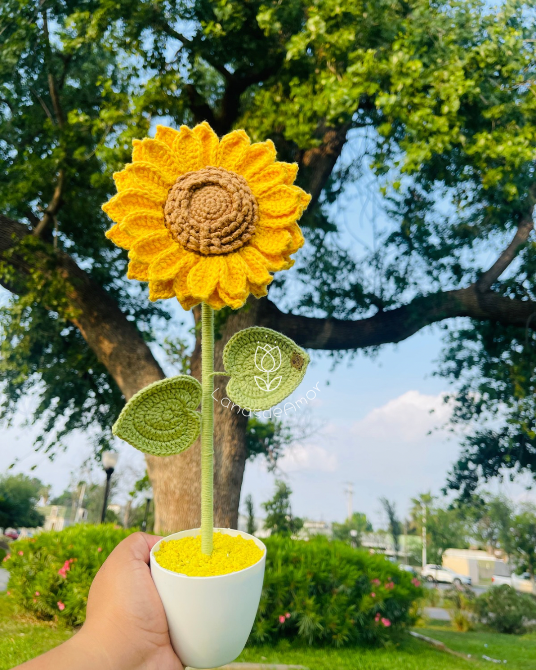 Girasol “Sol de Amor”
