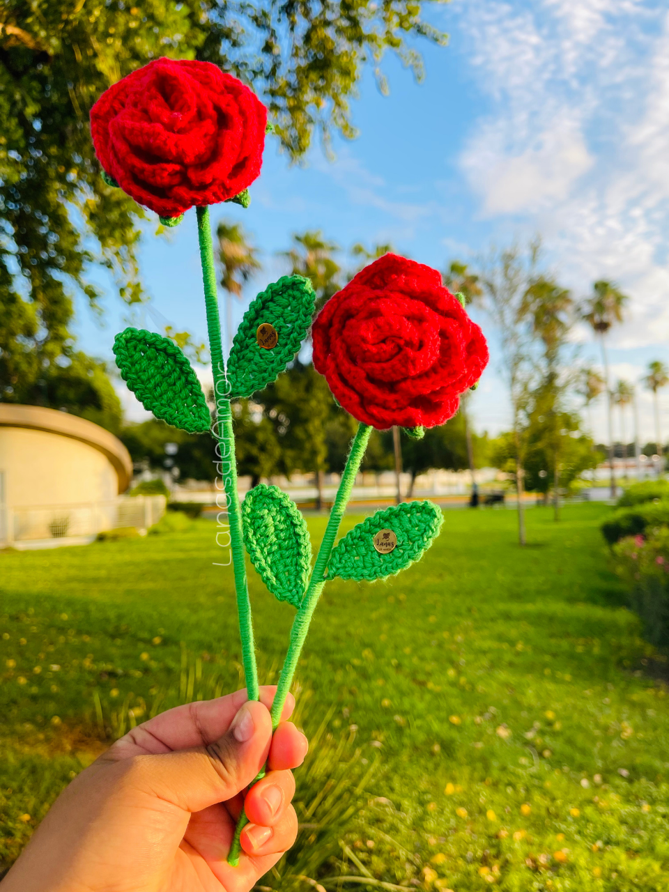 Flores Eternas Individuales