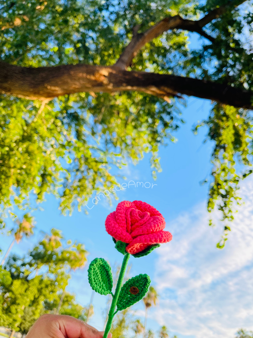 Flores Eternas Individuales