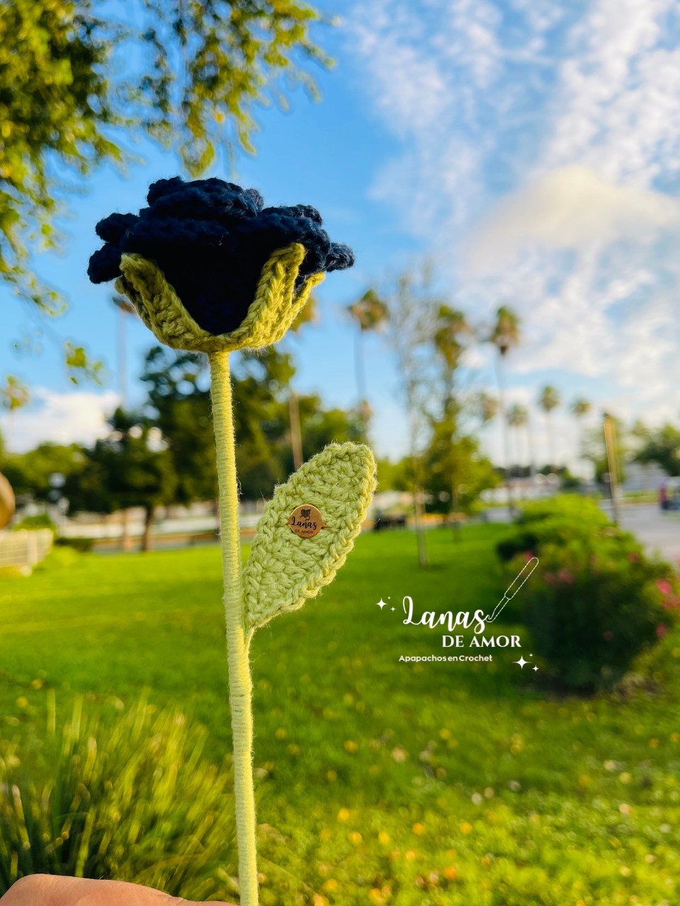 Flores Eternas Individuales