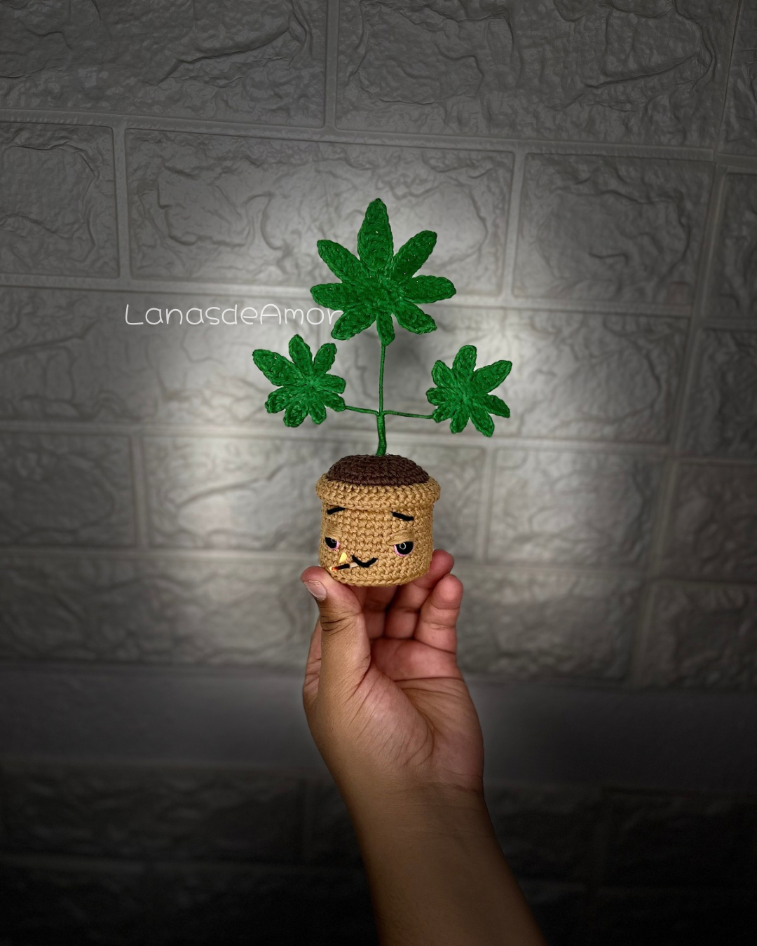 Canábita