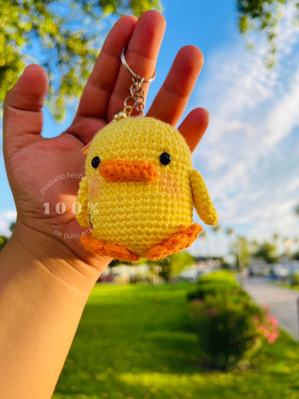 Pollito "Pio"