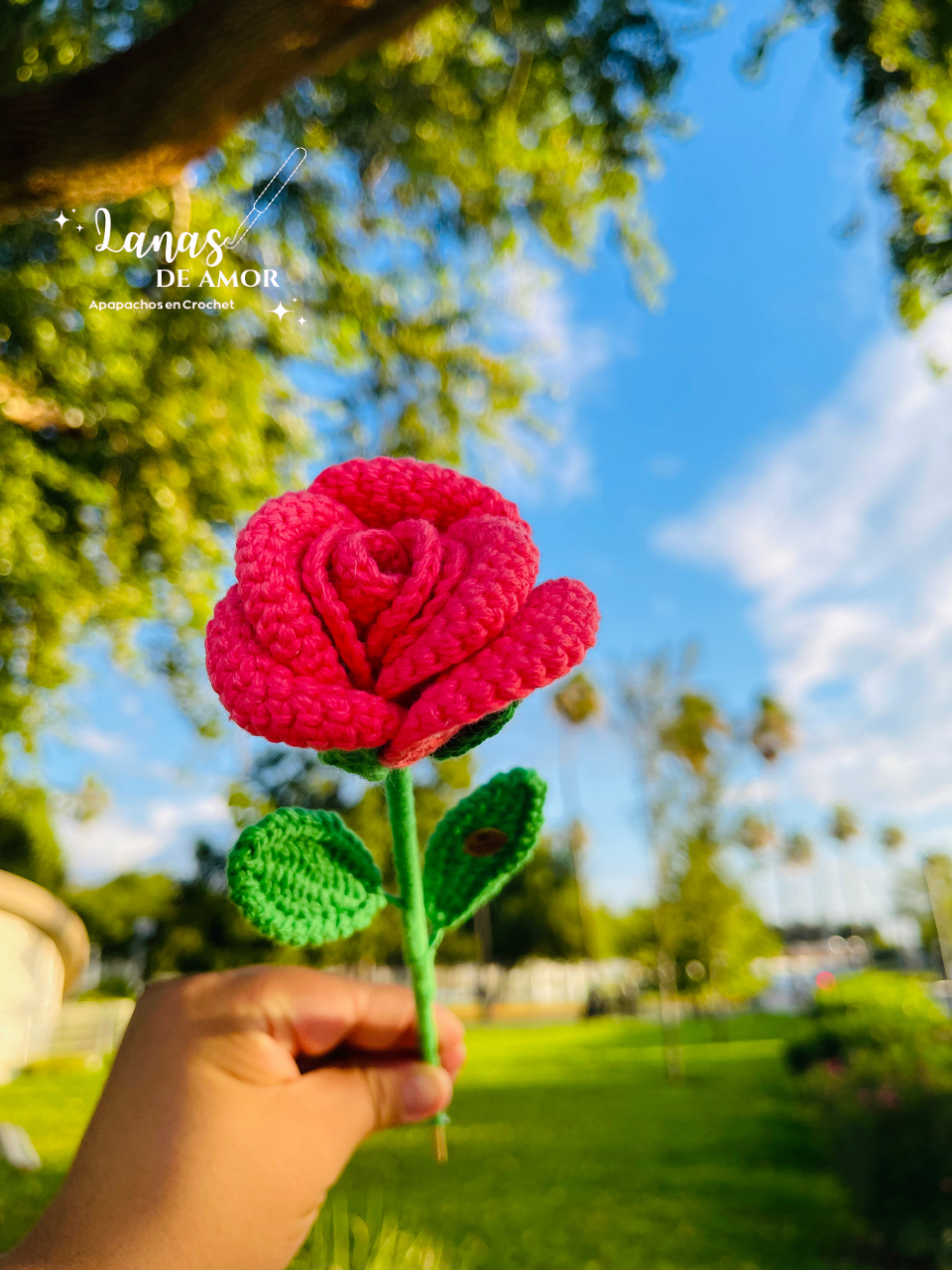 Flores Eternas Individuales