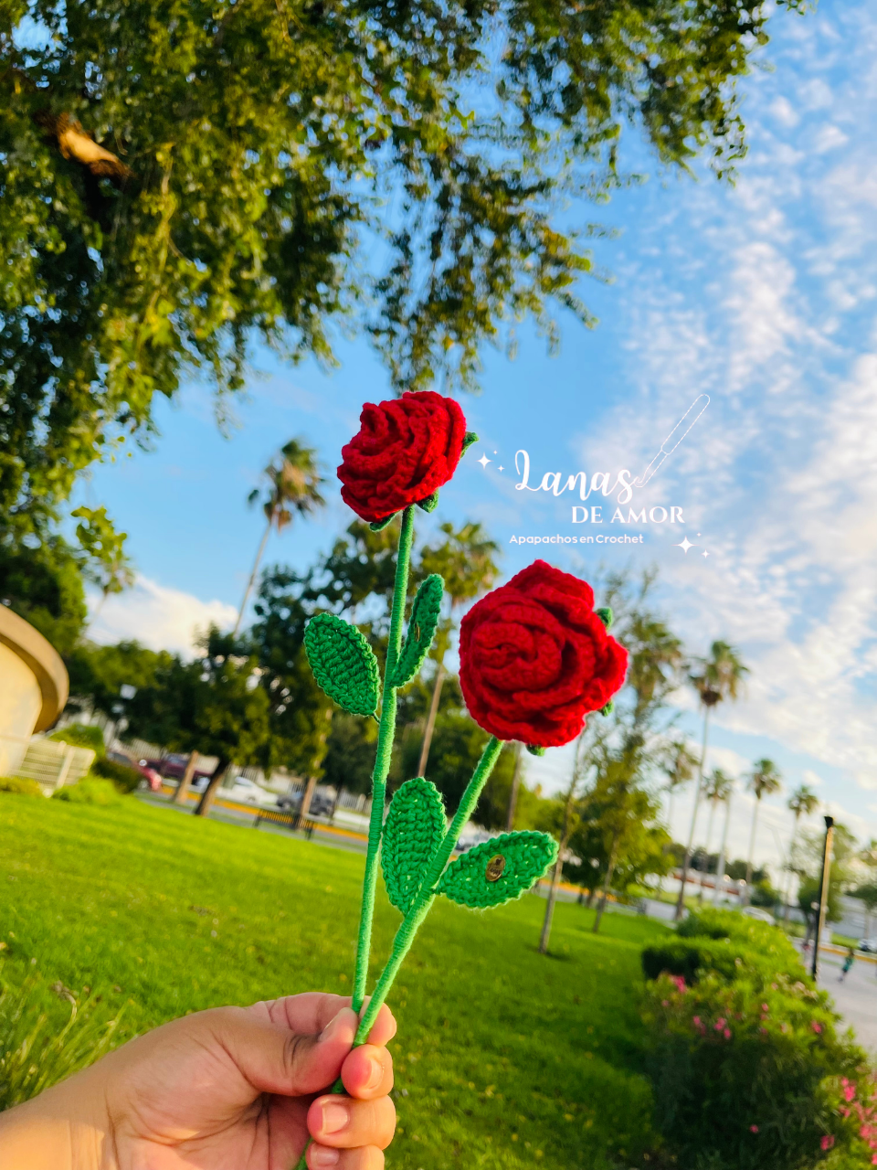 Flores Eternas Individuales