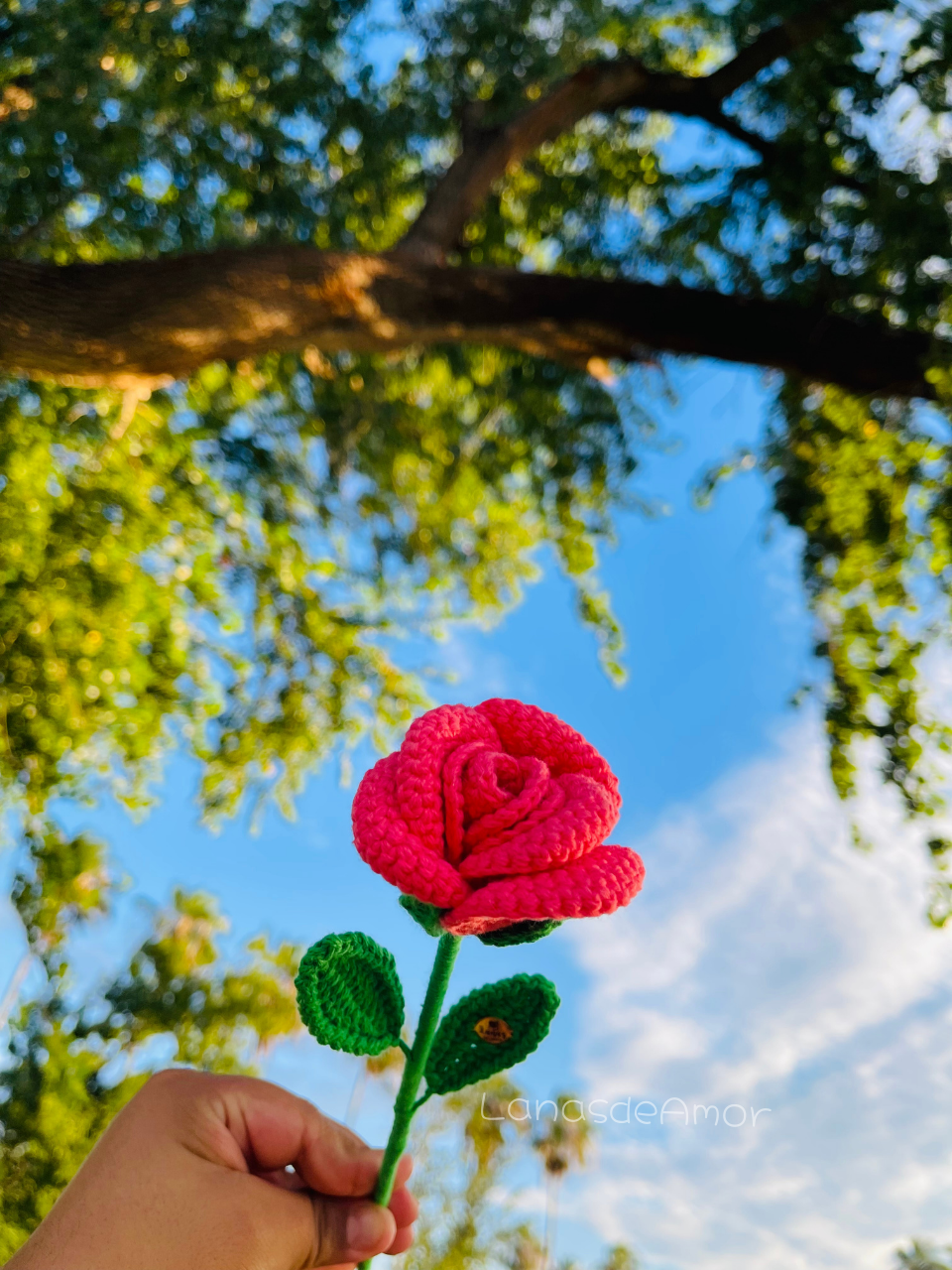Flores Eternas Individuales