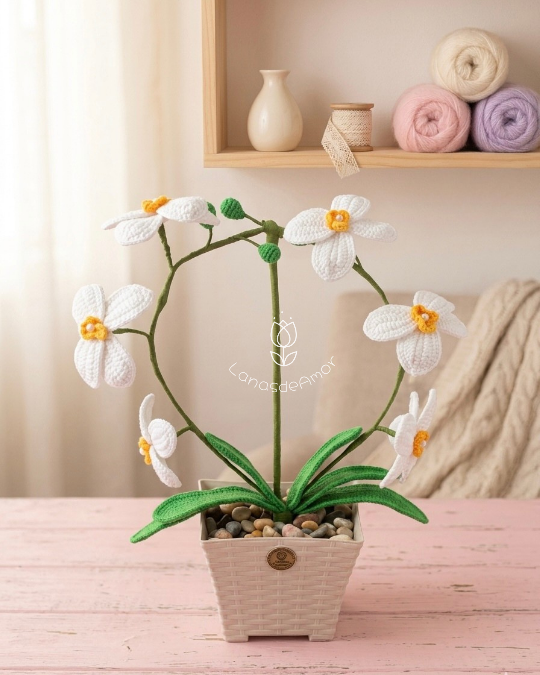 Orquídeas Premium