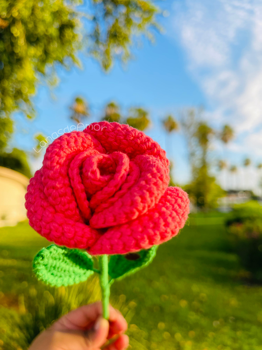 Flores Eternas Individuales