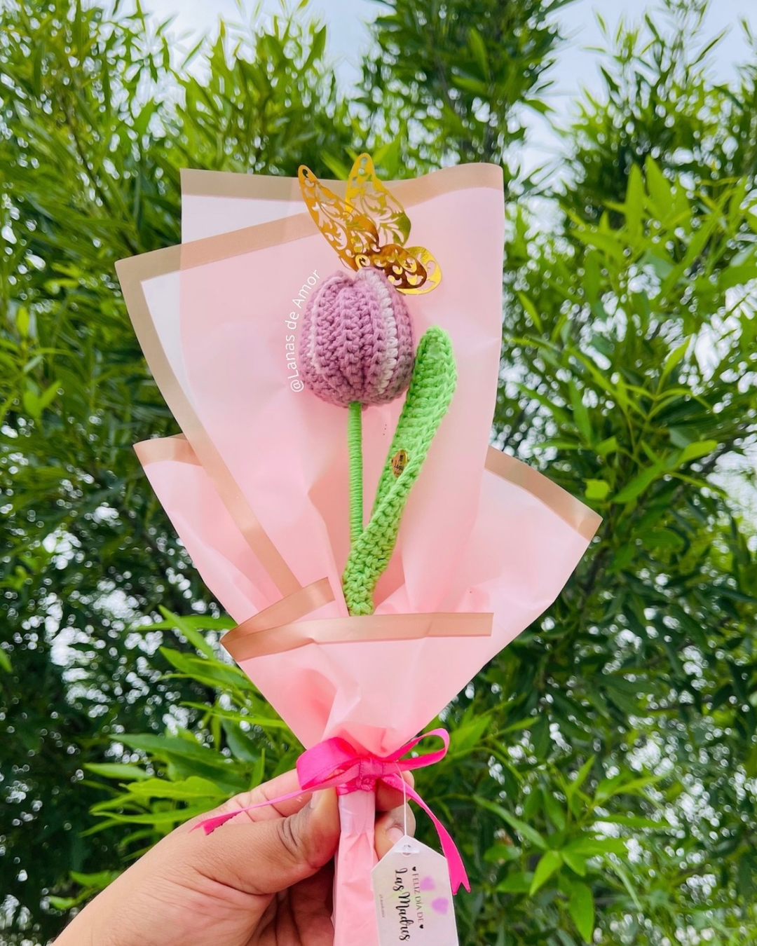 Tulipán Primavera