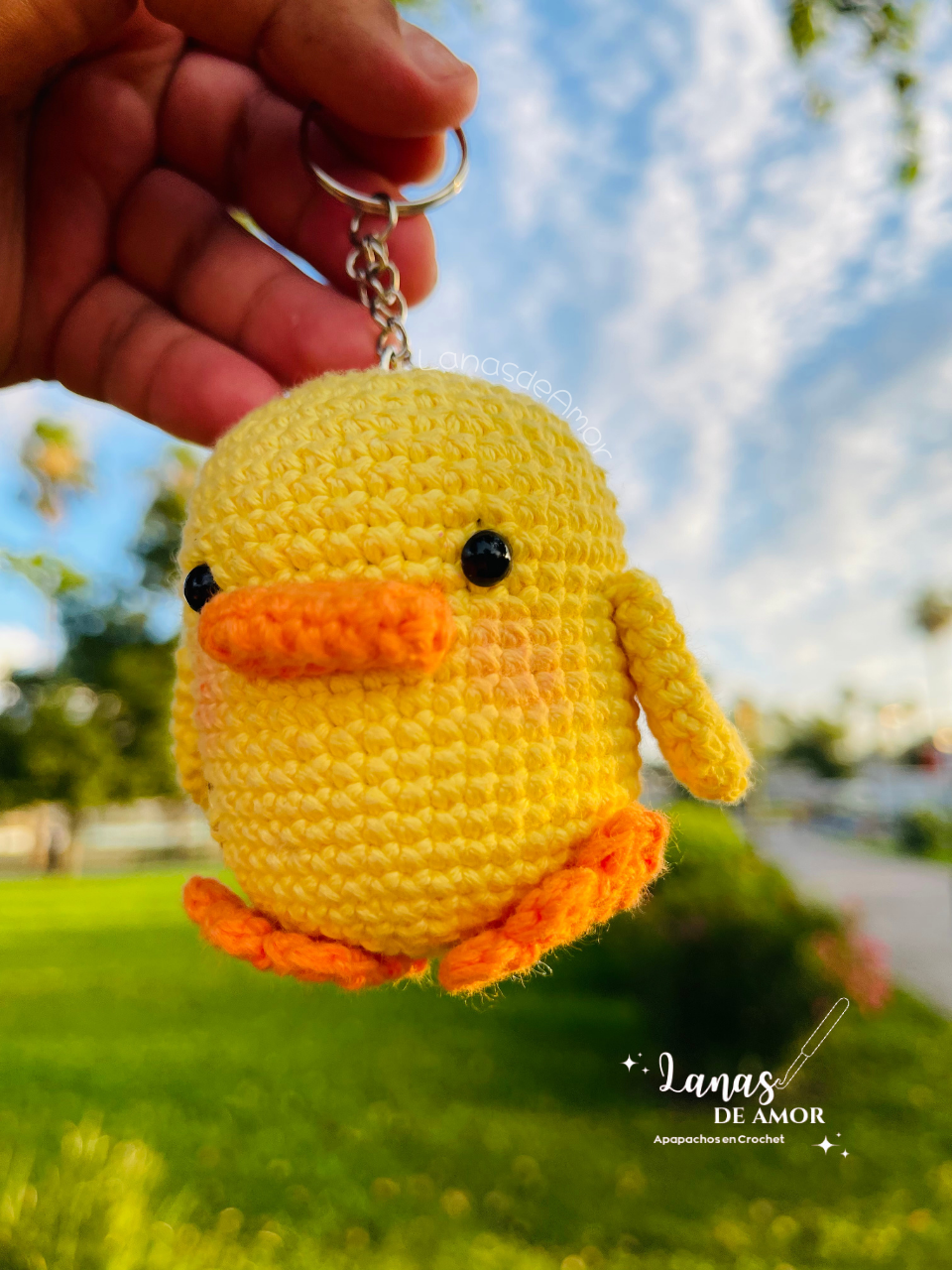 Pollito "Pio"