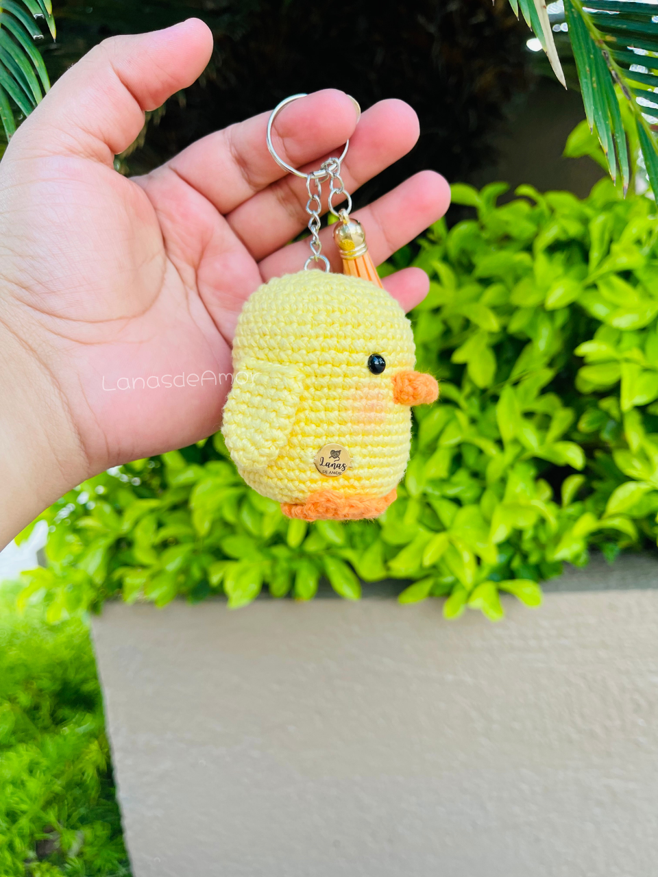 Pollito "Pio"