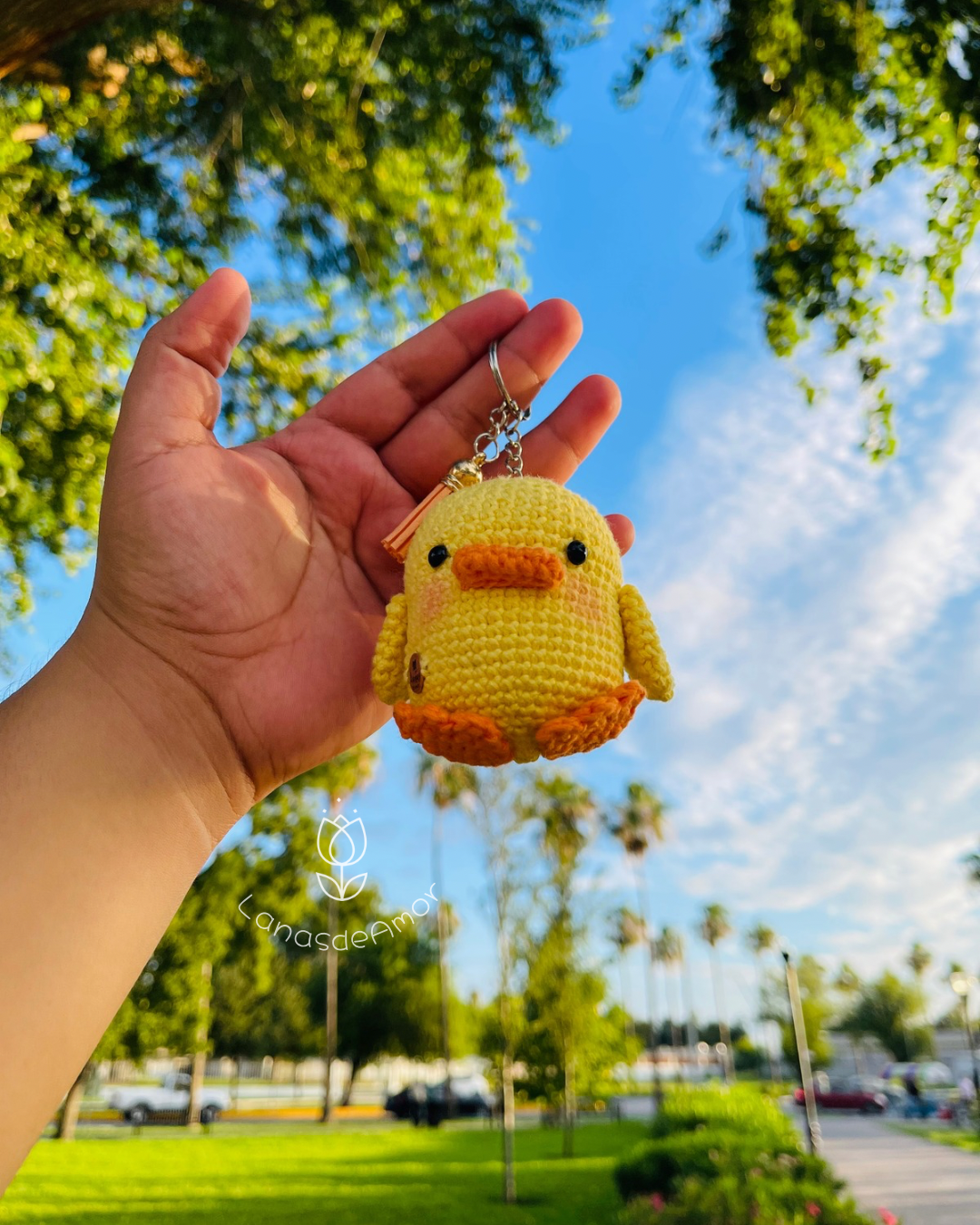 Pollito "Pio"