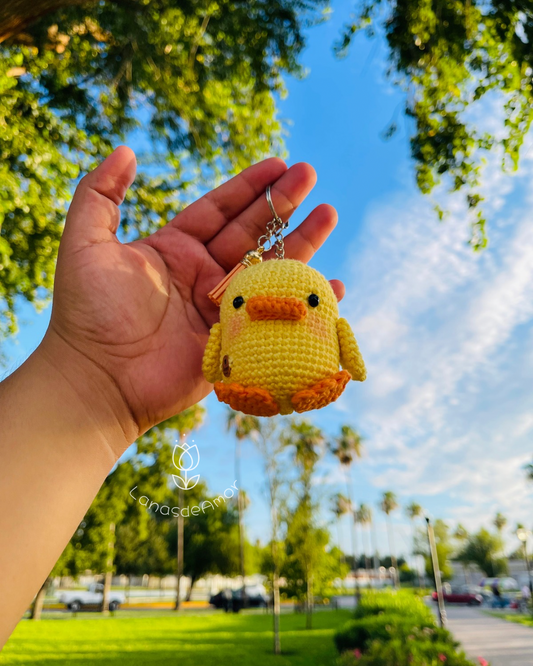 Pollito "Pio"