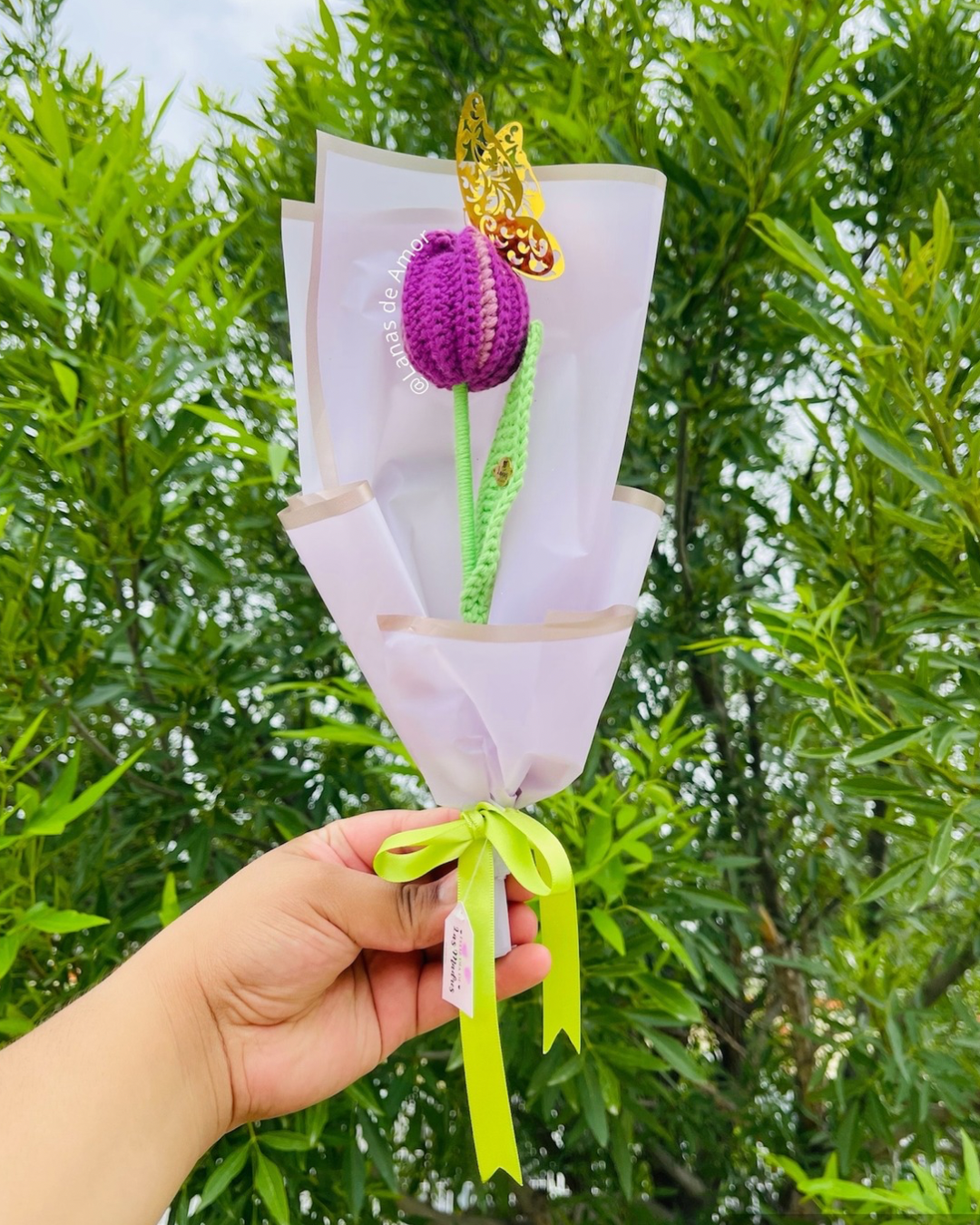 Tulipán Primavera