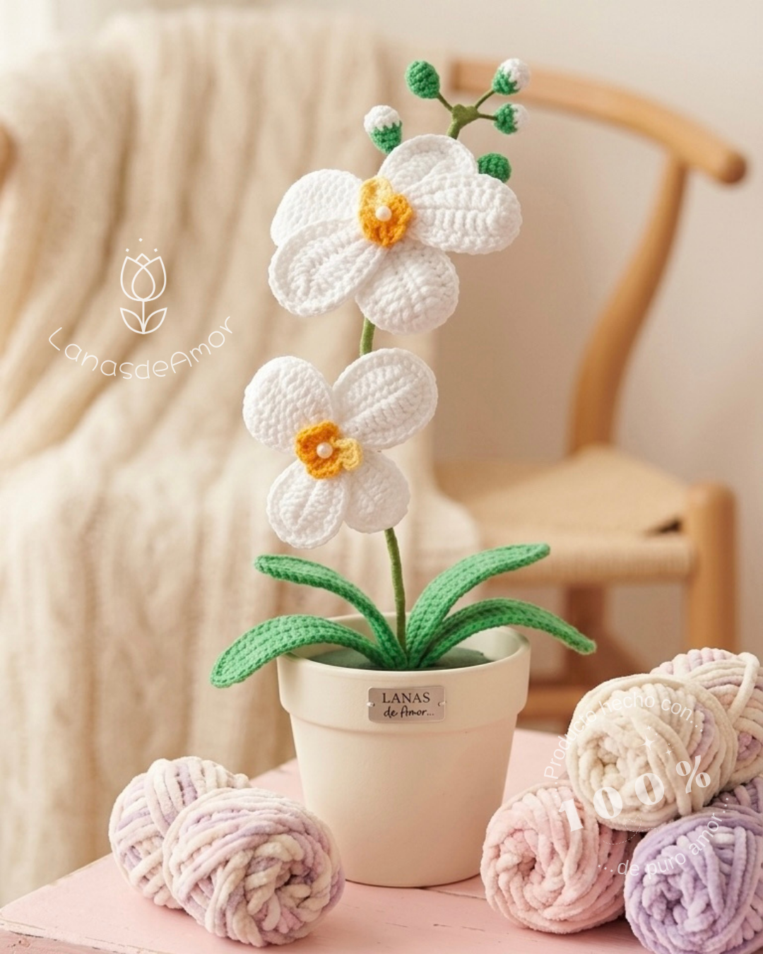 Orquídeas Premium