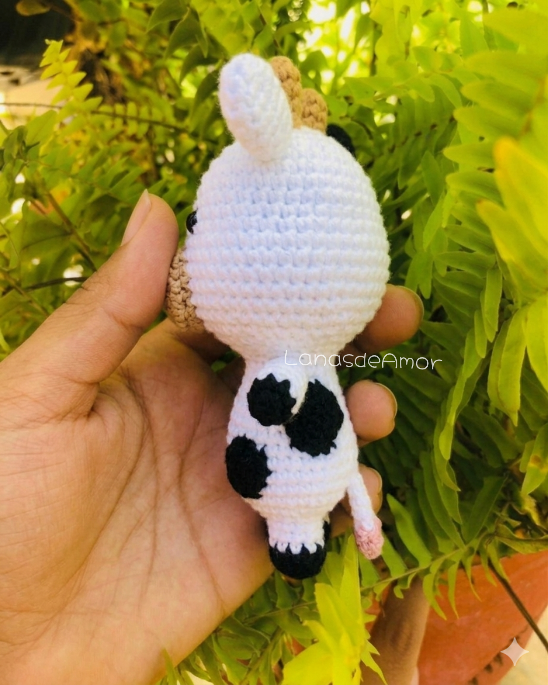 Vaquita Mini