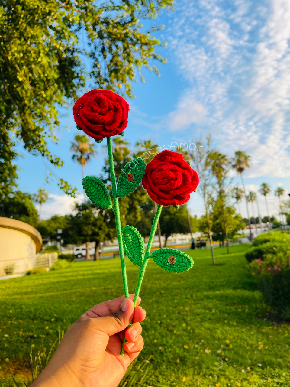 Flores Eternas Individuales