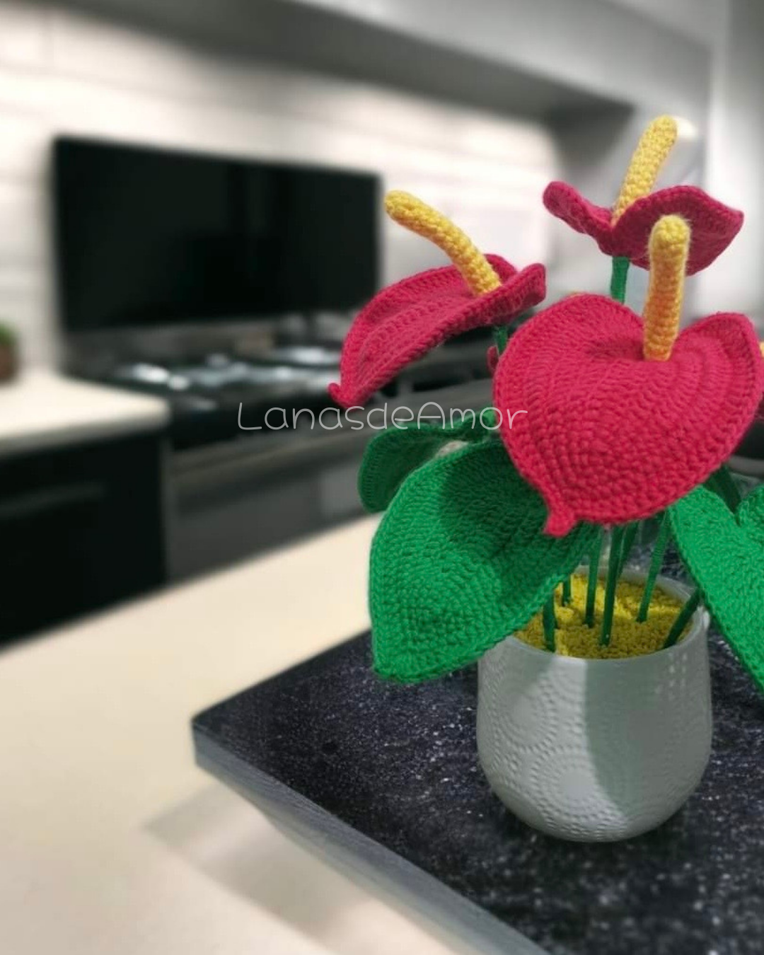 Corazón eterno (Anturio)