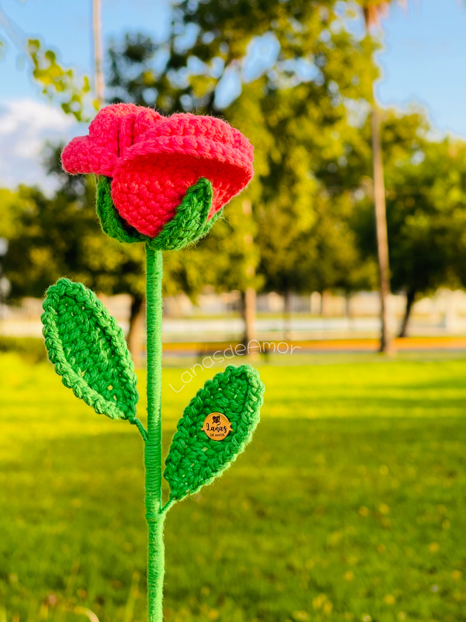 Flores Eternas Individuales